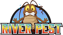 logo-3 (1)