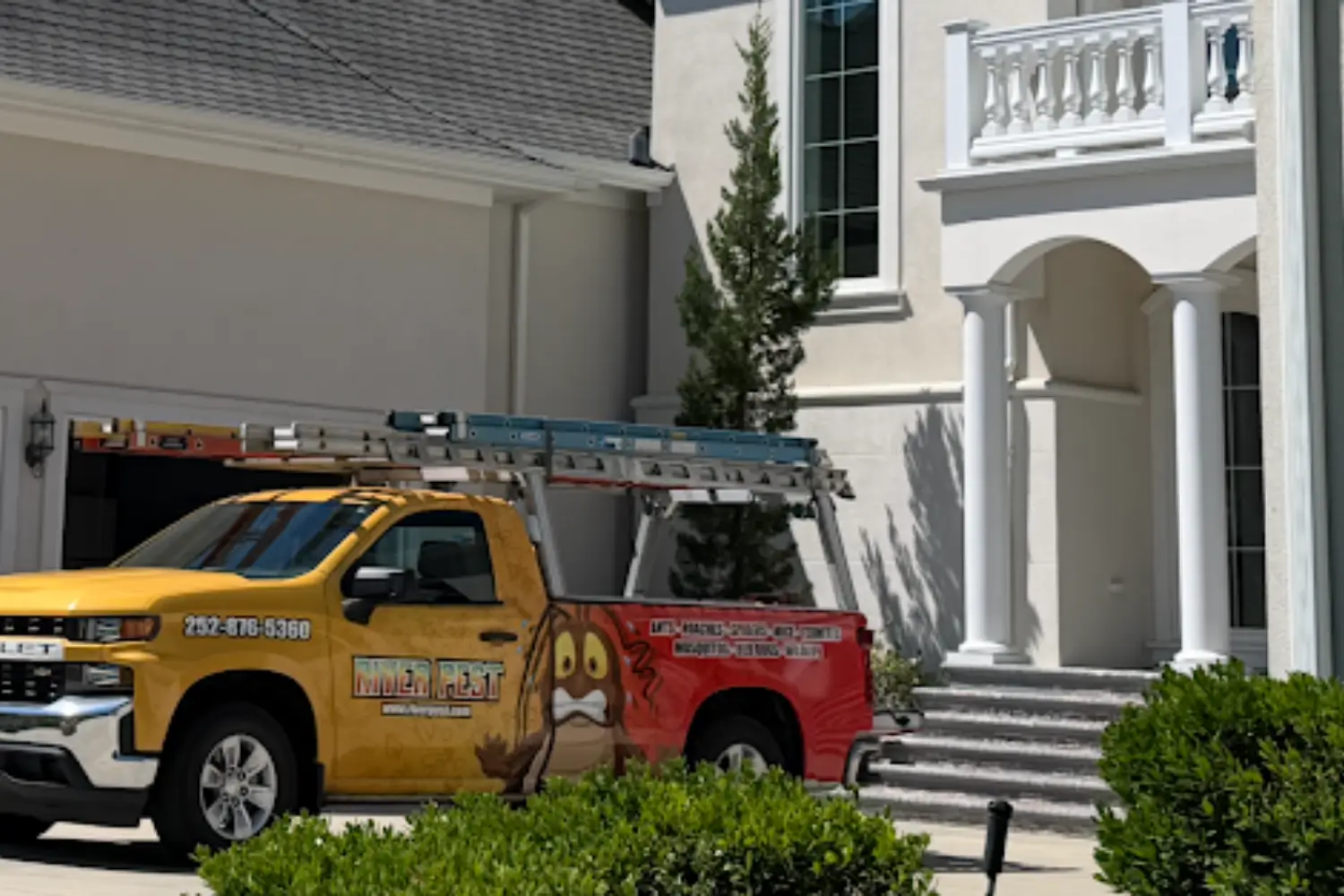 Pest Control Pollocksville