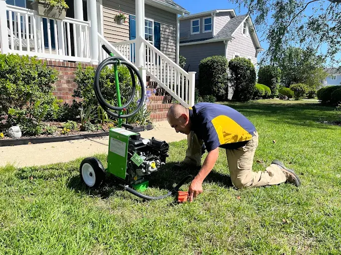 Rodent Control New Bern