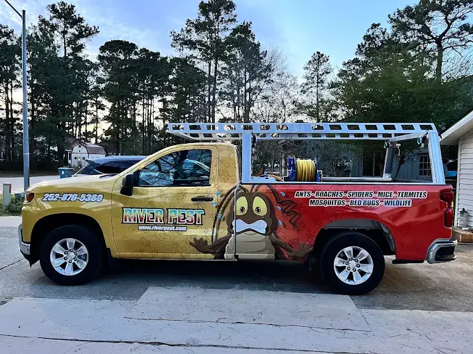 Termite Treatment New Bern